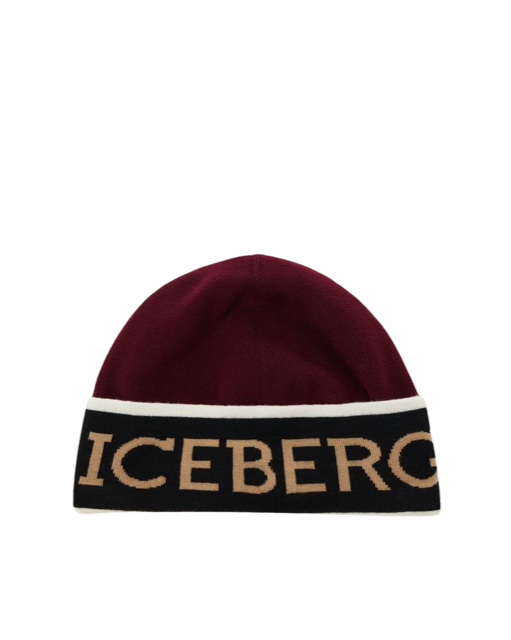 Logo Beanie